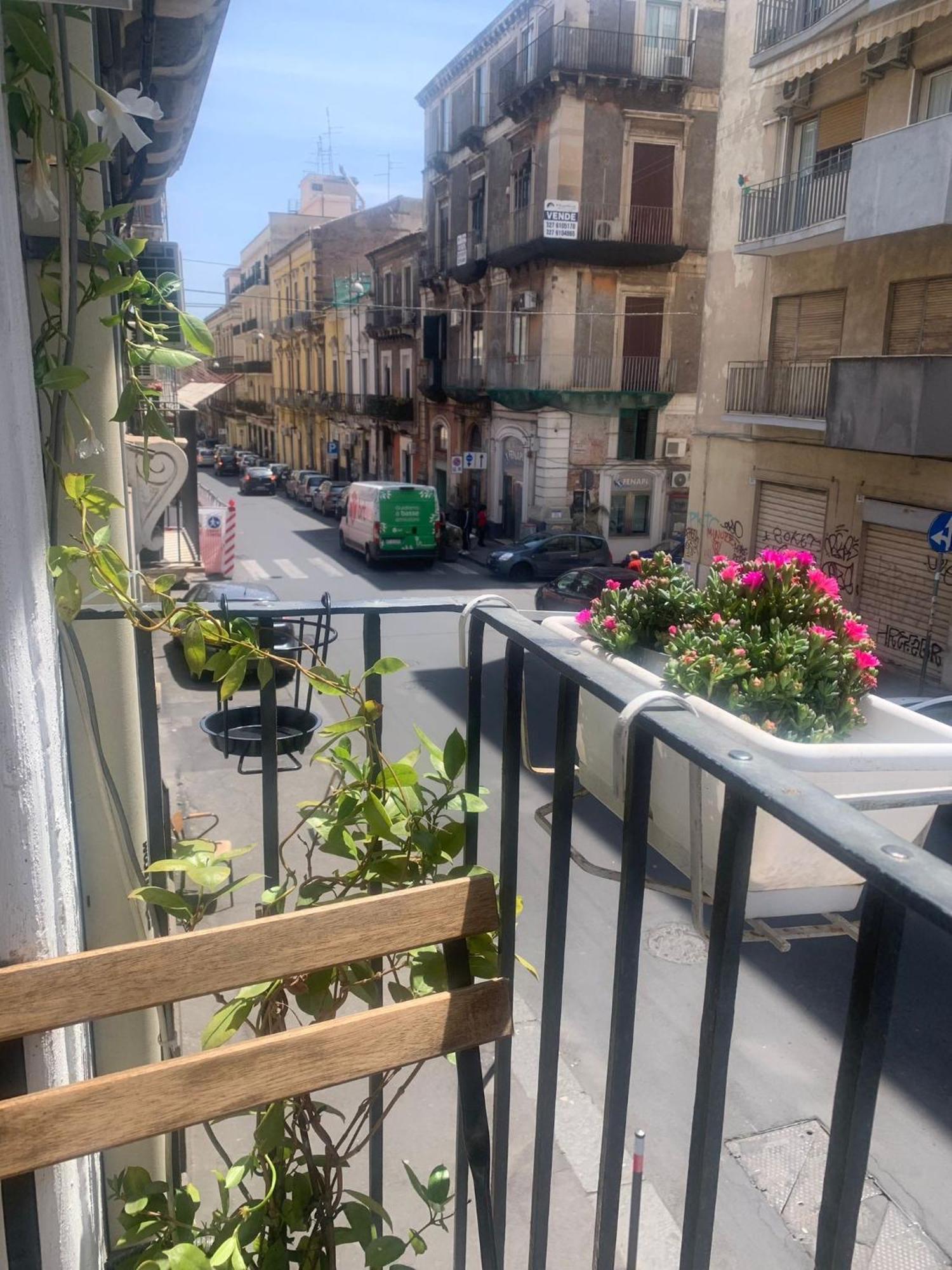 Nicaredda Guest House Catania Eksteriør billede